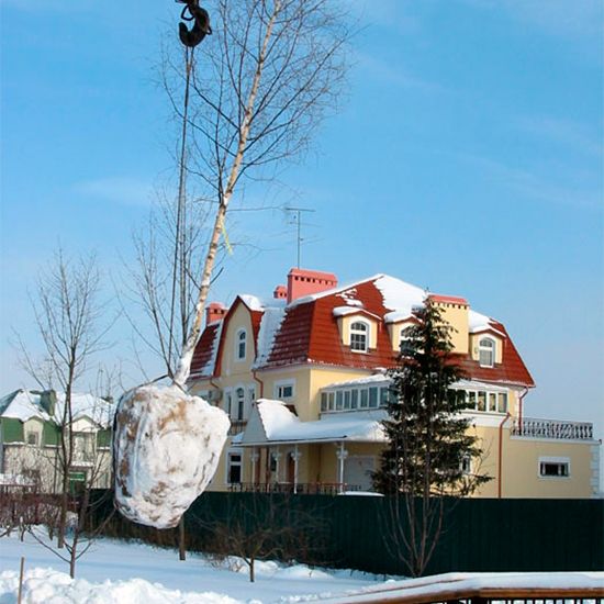 Зимняя посадка крупномеров